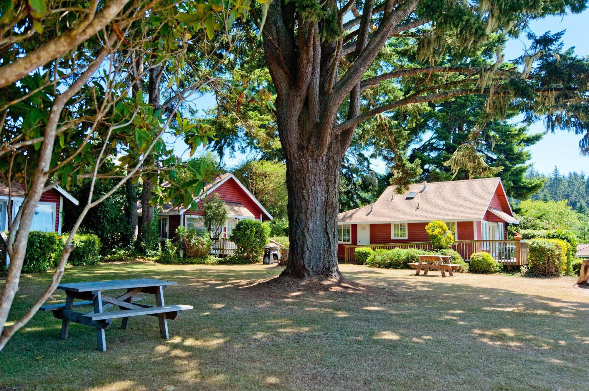 View Crest Lodge Trinidad Buitenkant foto